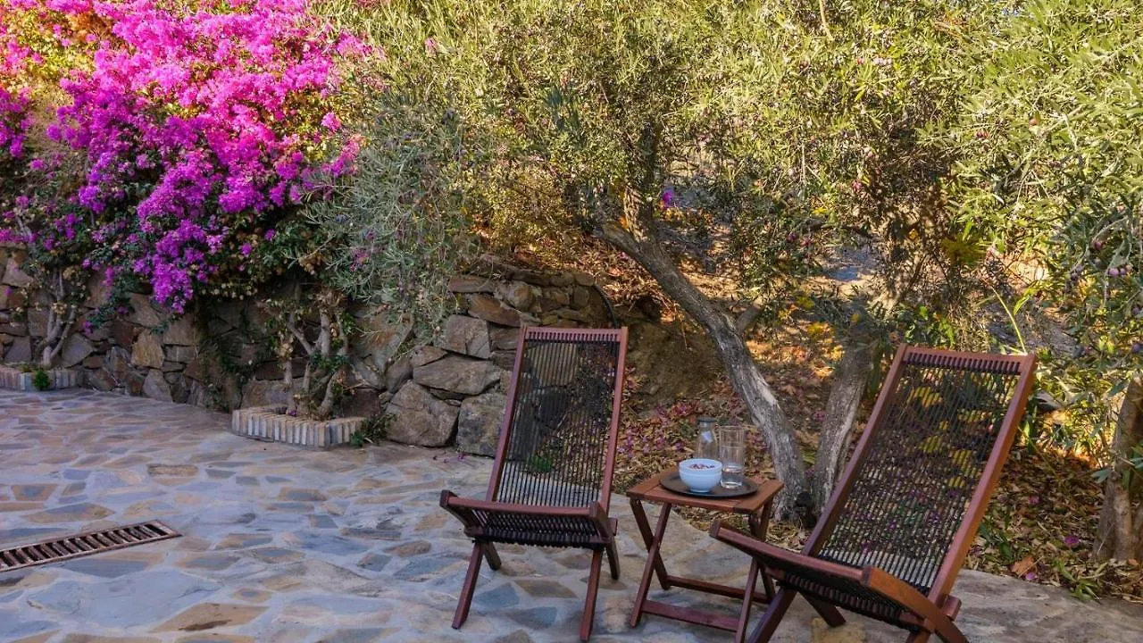 Finca Angarillas Competa By Ruralidays Holiday home